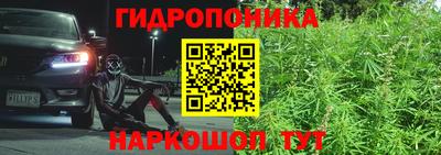 соль ск Будённовск